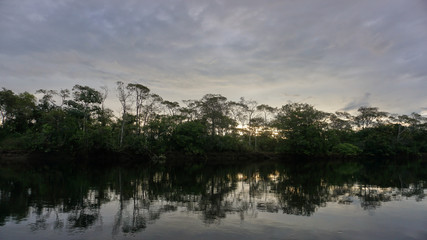Skyline of Amazon river