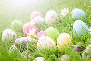 Happy easter!  Closeup Colorful Easter eggs in nest on green grass field during sunset background.