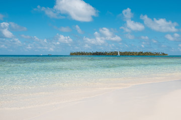 Fototapeta na wymiar white sand beach, turquoise water and palm tree island