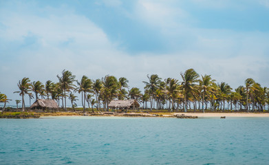  beautiful island beach  with palm trees and thatch huts on coast -