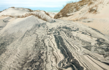 North Carolina Sand Dunes:  Erosion by wind and rain reveals intricate patterns in the...