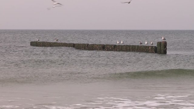 Cost protection groins at the beach of Sylt, Germany. Buhnen f&uuml;r K&uuml;stenschutz, am Strand von Sylt, Deutschland