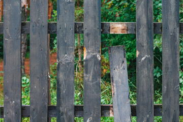 Fototapeta premium Broken dark wooden fence in garden. Copy space. Summer background. Close up.