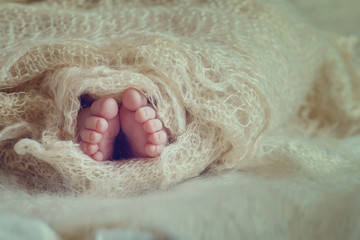 cute newborn baby feet wrapped comfortable fabric