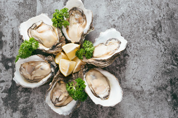 Opened oysters, lemon on gray stone table. Half dozen. With copy space