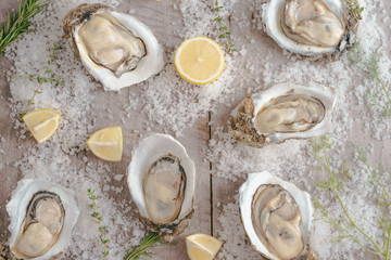 Dozen fresh oysters on a sea salt and lemon. Top view
