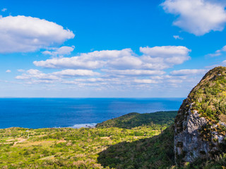 沖縄県 国頭郡 大石林山