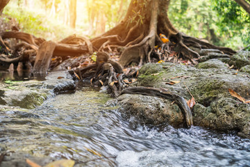Stream river fast landscape with tree forest, rocks beautiful scenery for peachful in spring with sun flare, It shows moisture, tranquility and refreshing of rainforest in Thailand.