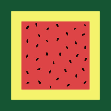 top view of square watermelon. fruit design. vector illustration.