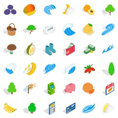 Banana icons set, isometric style