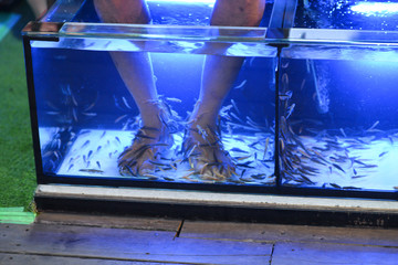 Fish spa therapy by doctor fish