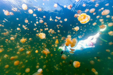 Fototapeta na wymiar Tourist snorkeling in Jellyfish Lake