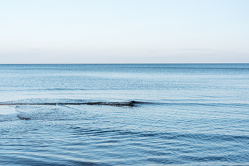 Fototapeta premium Blue Baltic sea.