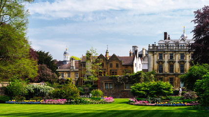 Fototapeta premium English garden with old buildings in background 