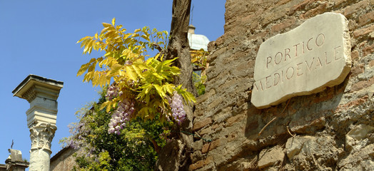architectural detail of the ancient imperial forums