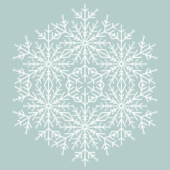 Round vector snowflake. Abstract winter ornament. White snowflake