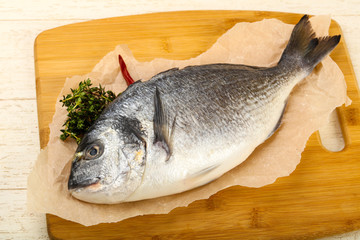 raw dorada fish