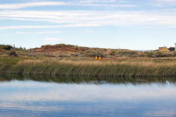 Laguna Nimez, a wildlife reserve at El Calafate in Patagonia, Argentina