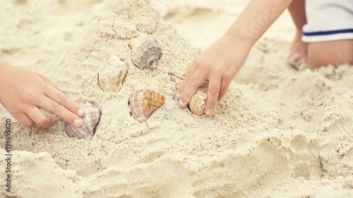 Little Kids Hands Lays Out Collection Sea Shell On The Beach Sand Little Kids Hands Lays Out Collection Sea Shell On The Beach Sand