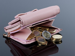 Purse, Open with Saudi Riyal Coins