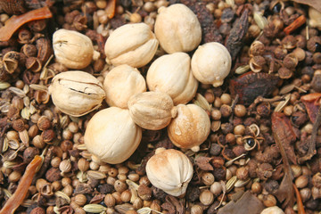 Variety of spices ,Various parts of plants such as seeds,leaves, roots, etc. are popular to make food