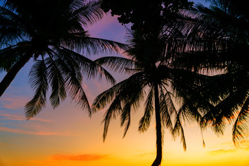 Obraz na płótnie Canvas Amazing Tropical beach at sunset