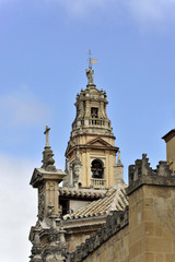 Fototapeta na wymiar Ehemaliges Minaret, Mezquita, ehemalige Moschee, heute Kathedrale, Cordoba, Andalusien, Spanien, Europa