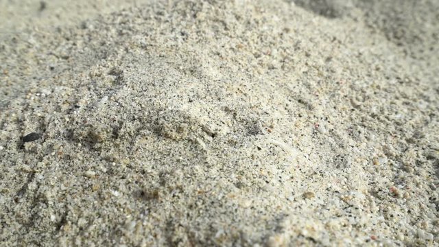 female hand pick up flower in the sand, concept ecology, green earth disaster destroyed, global warming, dry drought, pollution, woman find last hope, change climate arid landscape desert, hot heat