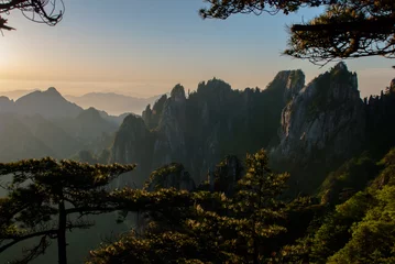 Photo sur Plexiglas Monts Huang Pines at dusk, Huangshan Mountains (Anhui, China)