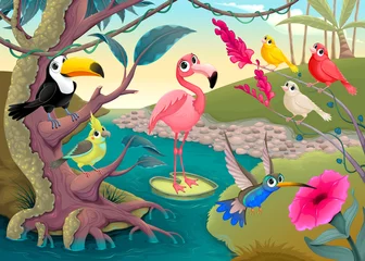 Groep grappige tropische vogels in de jungle © ddraw