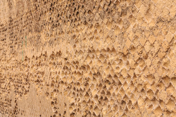 Old Pitted Wall in Pompeii