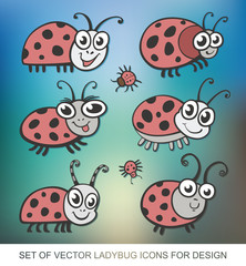 Set of vector icons ladybug. flat illustration for your design