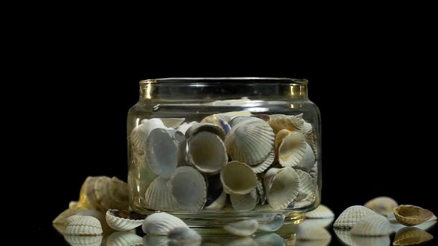 Glass jar with shell collection