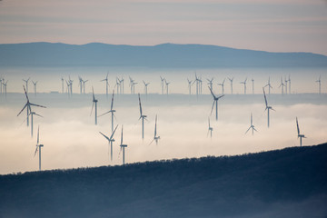 Wind farm of wind turbines