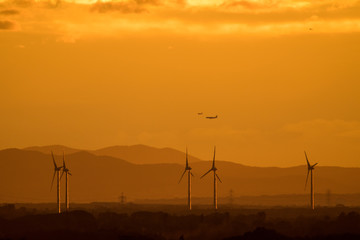 Obraz premium Wind farm of wind turbines