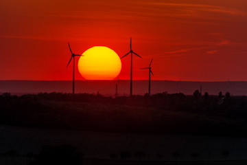 Wind farm of wind turbines