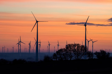 Wind farm of wind turbines