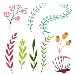 Set with floral elements and leaves. Decorative elements for your design. Leaves, swirls, floral. Flat design style vector illustration. Web site page and mobile app design element