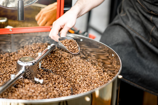 Getting With Scoop Roasted Coffee Beans From The Roaster Machine To Check The Quality