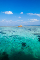 Fototapeta premium crystal clear turquoise water at Kabira Bay, Ishigaki, Okinawa