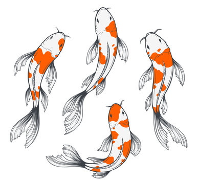 Koi Fish Set stock vector. Illustration of blue, carp - 113423553