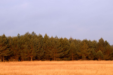 widok z okna © Katarzyna