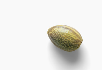 Hemp seed on a white background