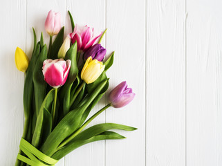Obraz na płótnie Canvas Spring tulips flowers