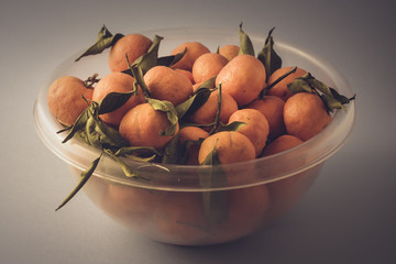 Cup of tangerines with leaf on white background
