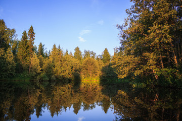 Mirror reflection of the forest in the lake