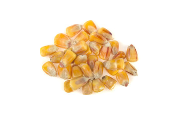 corn seeds on white background