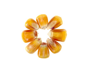 corn seeds stacked in a circle on a white background
