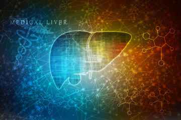 Realistic human liver 2d illustration

