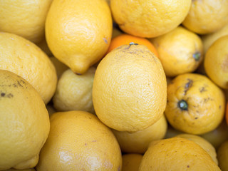 citrus lemon organic market